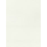 Trueliving_Centuryply_FROSTY WHITE__Design Code: 111 SIZE:2440 MM X 1220 MM  THICKNESS: 1 MM